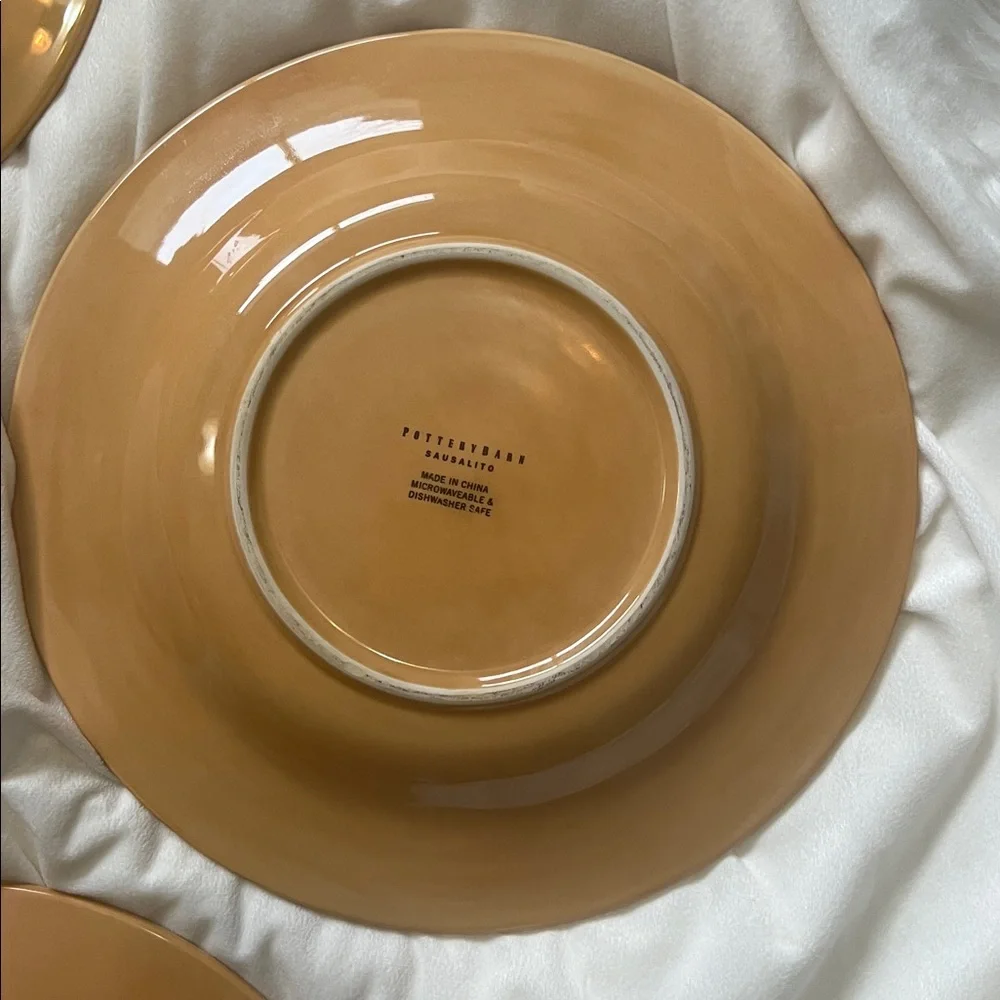 Pottery Barn Sausalito 4 Dinner Plates each 12 Inches each